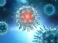 Virus stark vergrößert Virus stark vergrößert