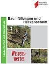 Titelbild Baumfällung und Heckenschnitt