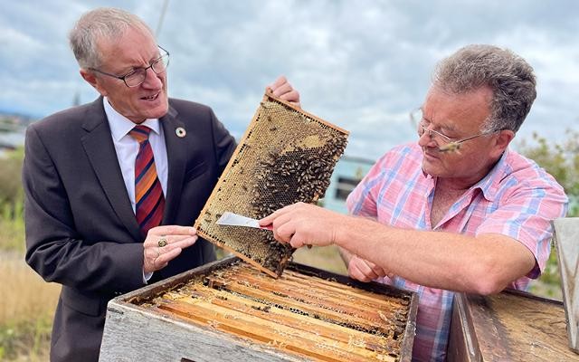 Landrat mit Bienenwabe