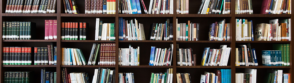 Bücherregal Bücherregal