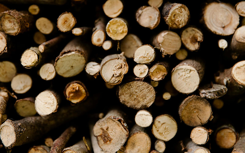 Abgesägtes Holz