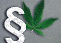 Paragraph und Cannabisblatt Paragraph und Cannabisblatt