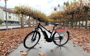 Fahrrad Fahrrad